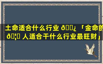 土命适合什么行业 🌿 「金命的 🦄 人适合干什么行业最旺财」